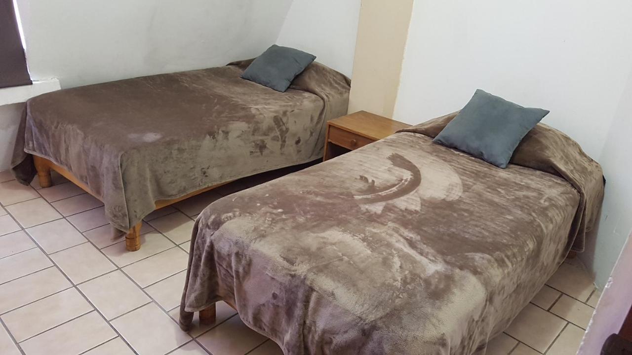 Departamento Zona Dorada 6 *