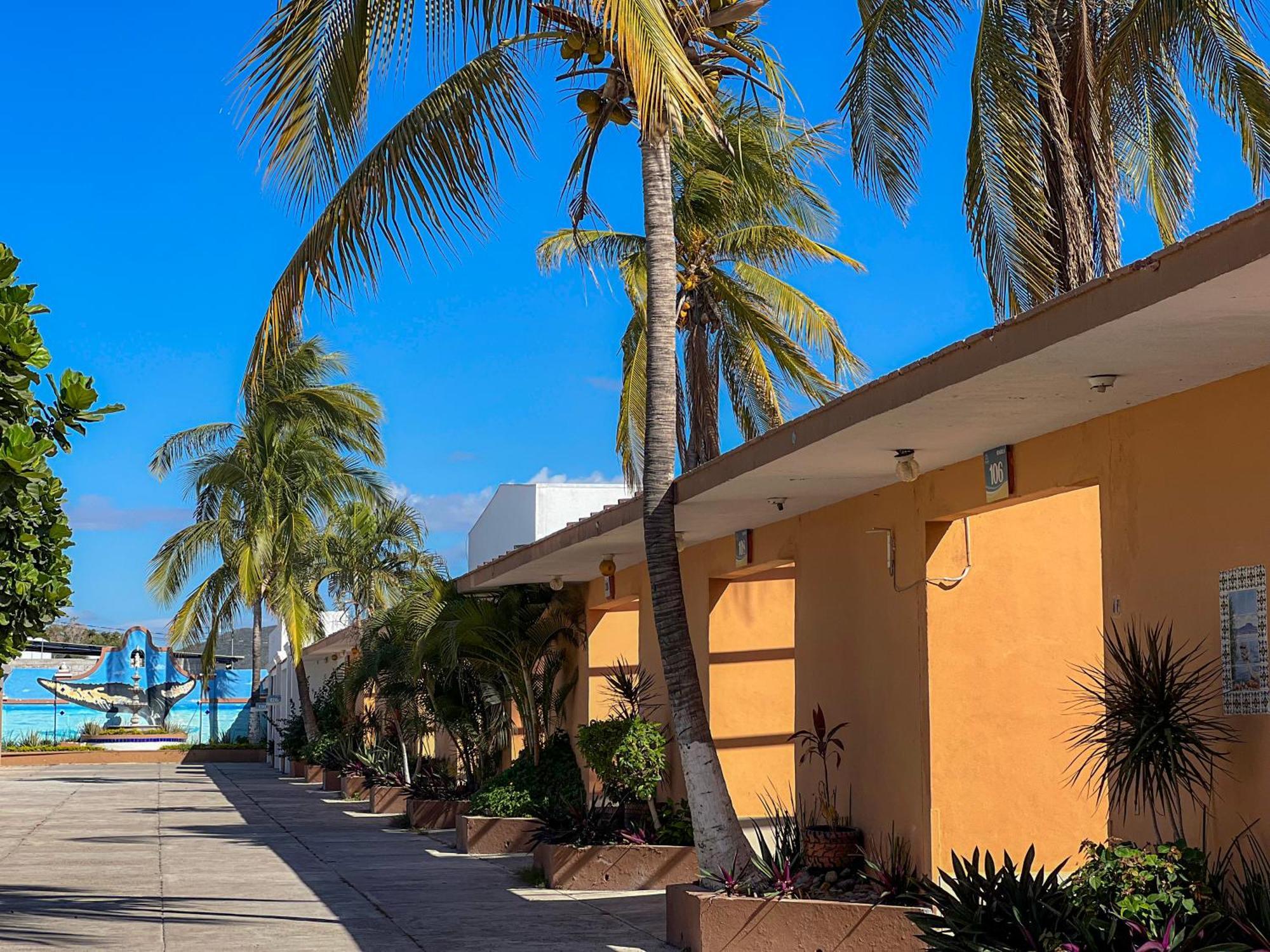 Oasis Hotel 3*