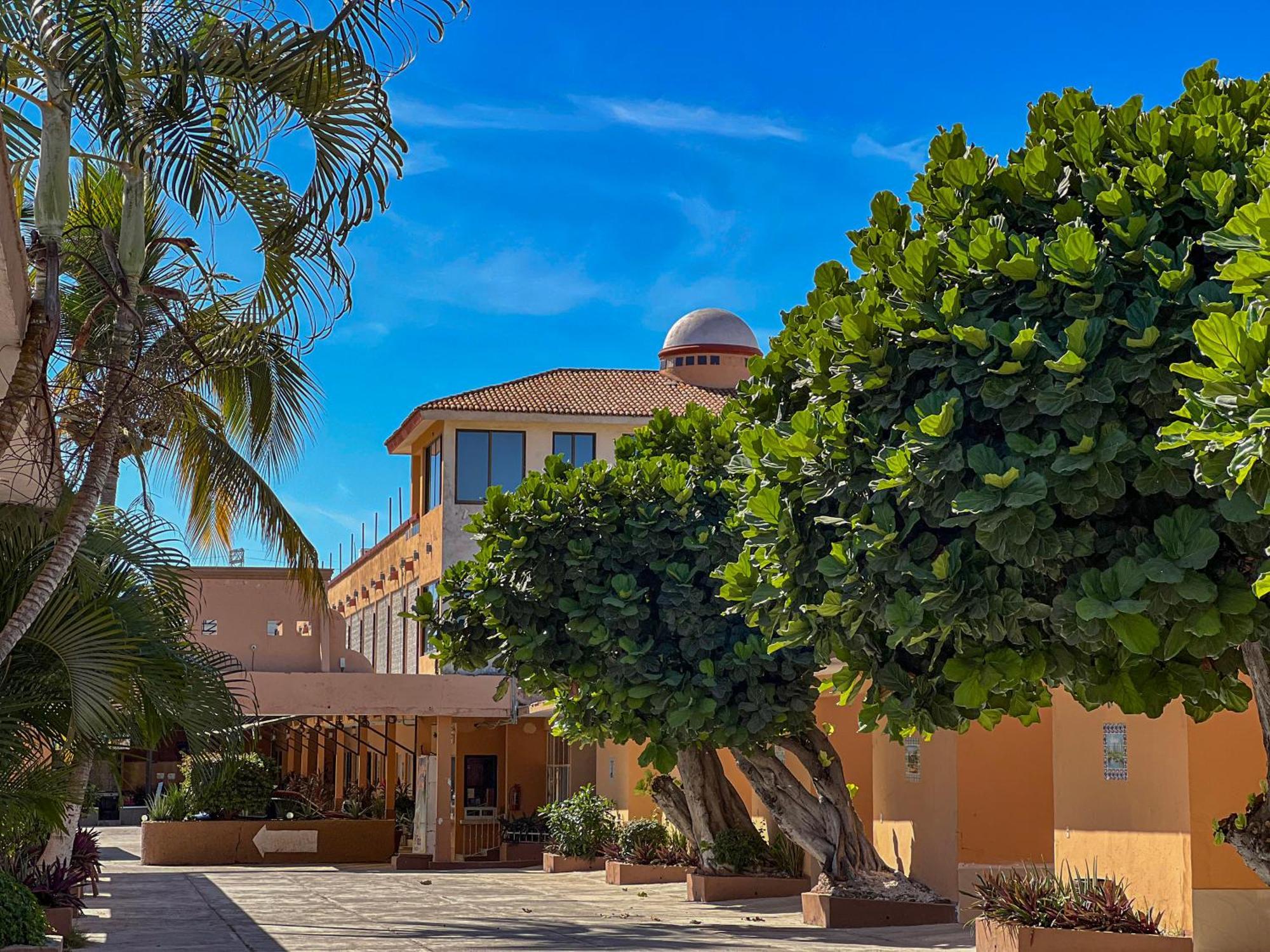 Oasis 3* Mazatlan