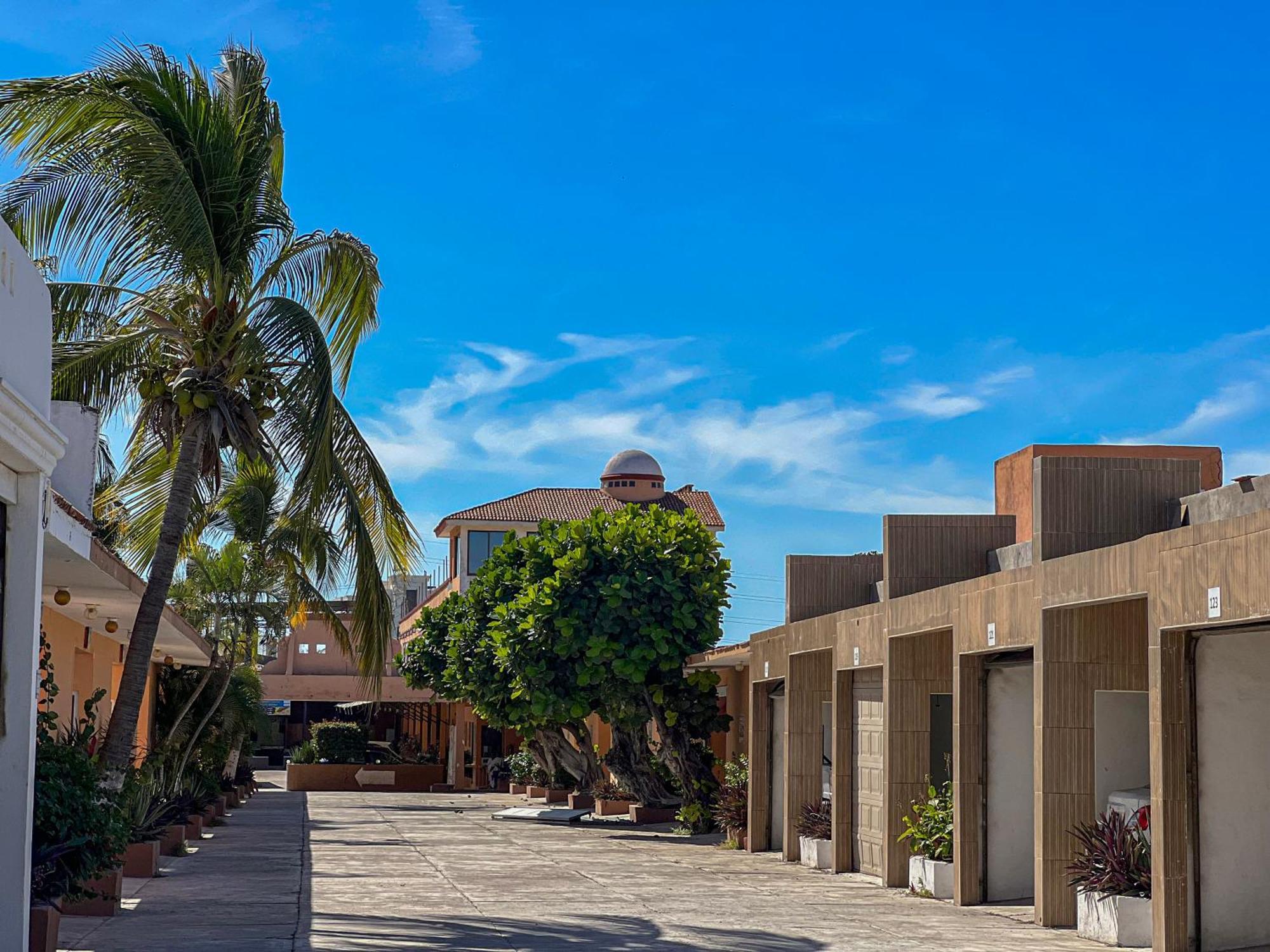 Oasis 3*