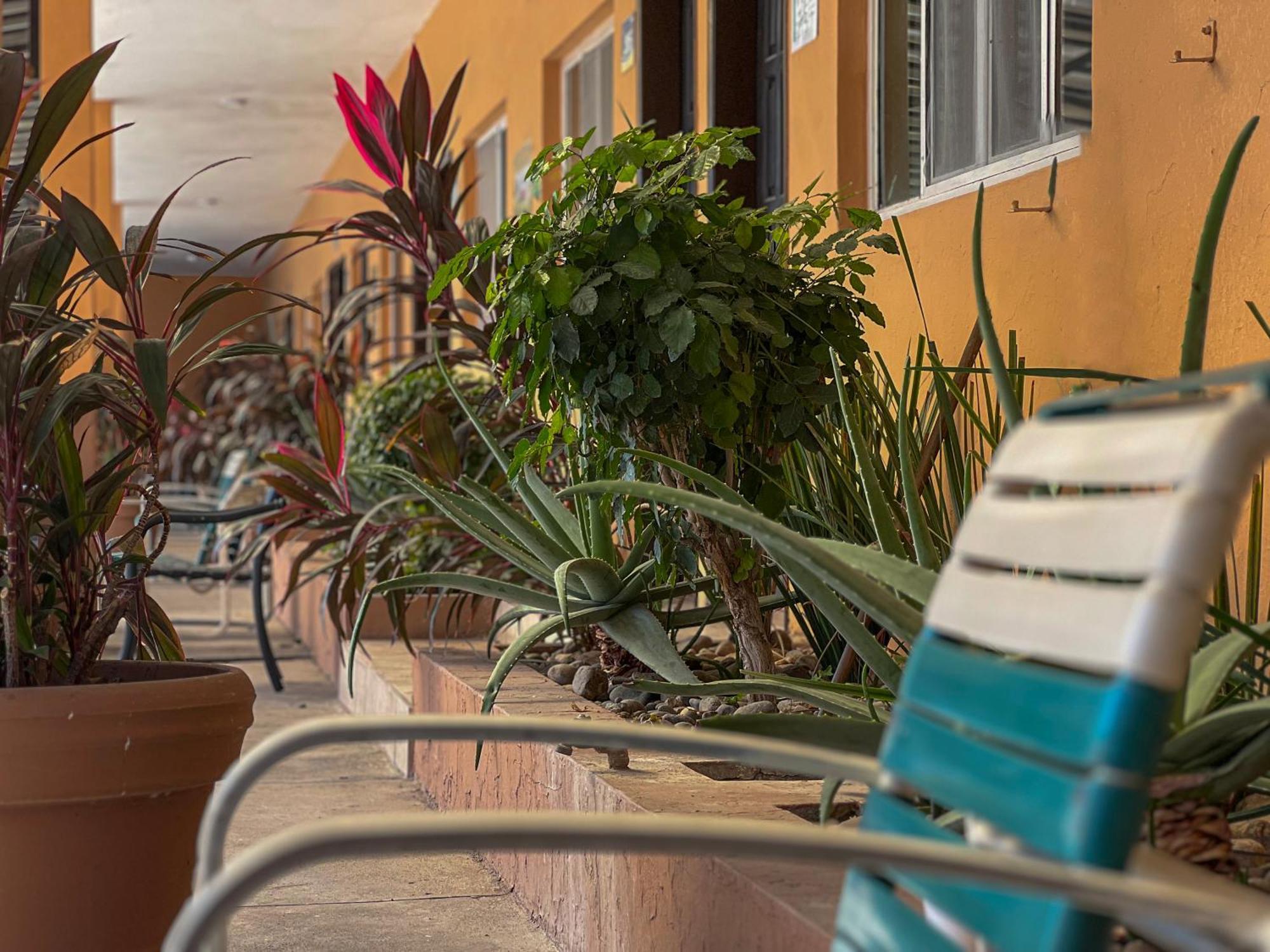 Oasis 3* Mazatlan