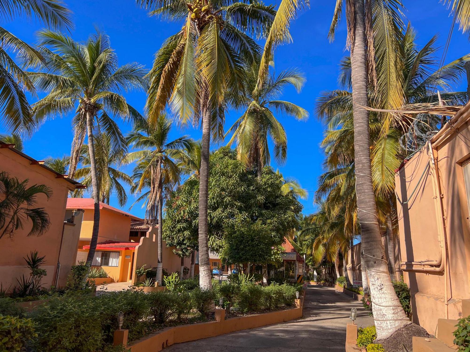 Hotel Oasis Mazatlan