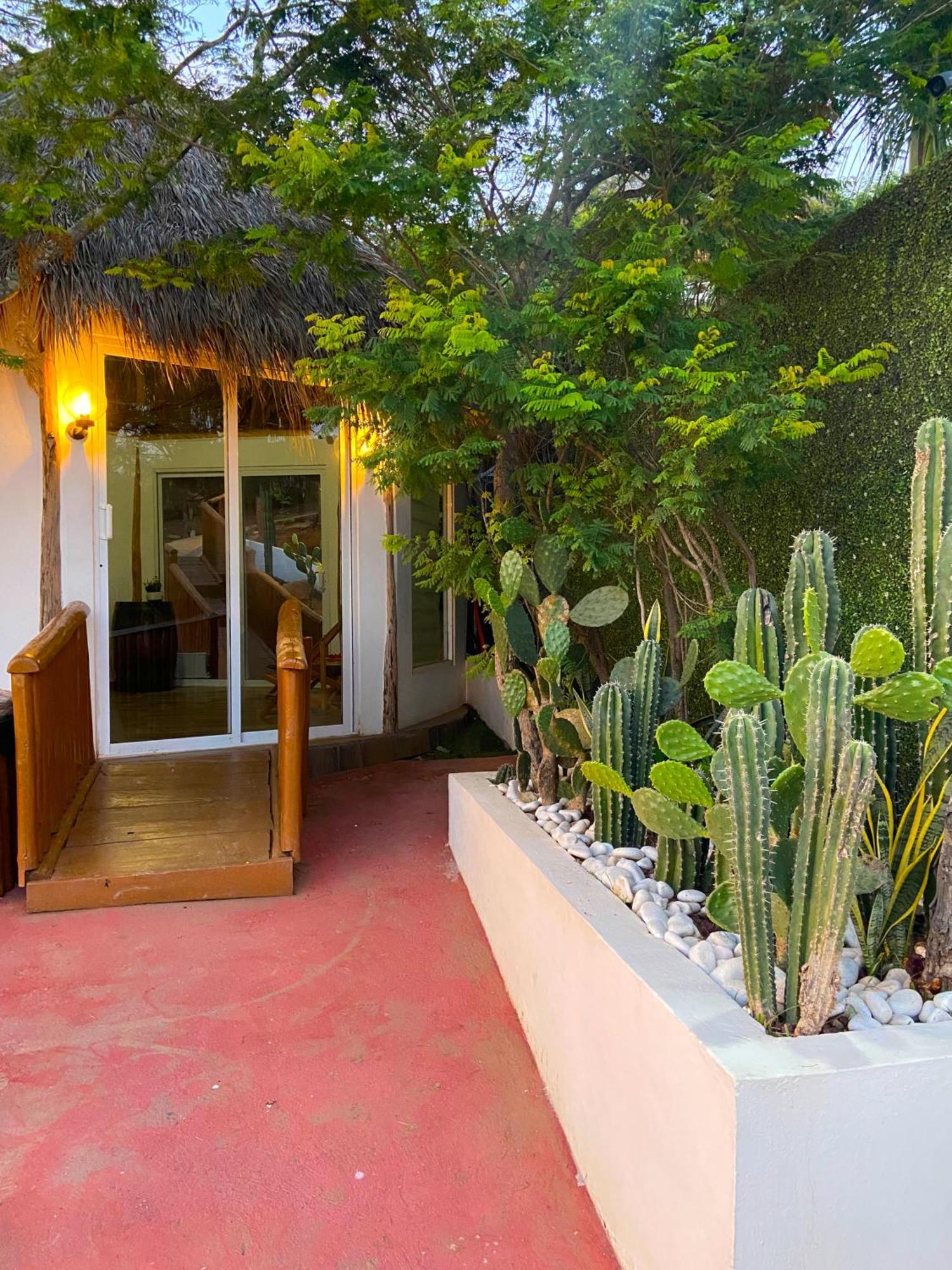 Palm Valley Campsite Mazatlan