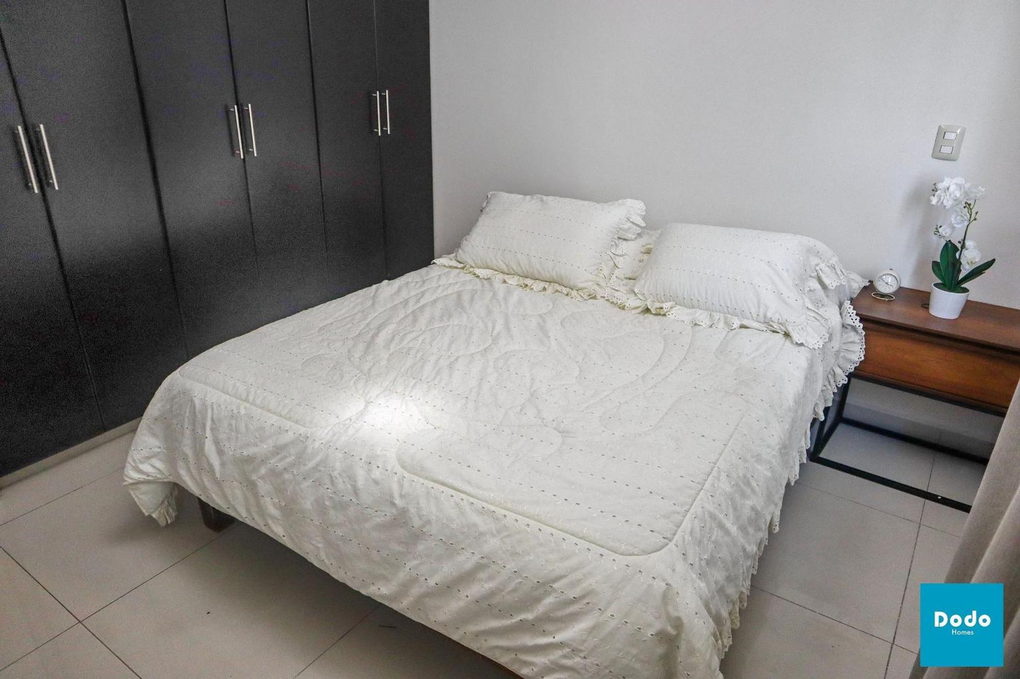 Apartment Dodo Plaza Machado