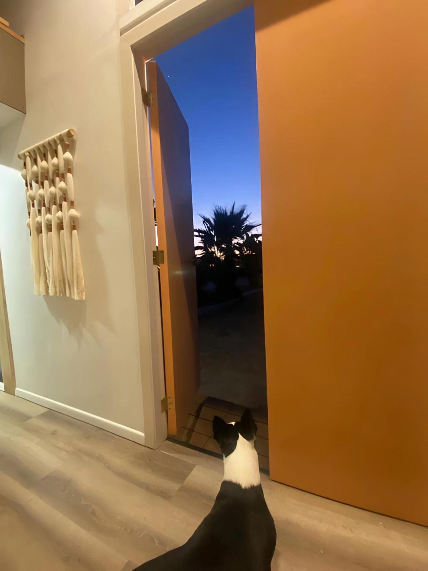 Tiny House By The