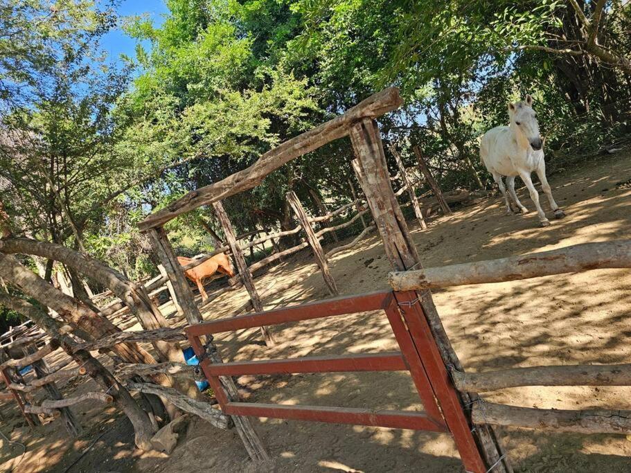 Hermosa Casa Vacacional * Mazatlán