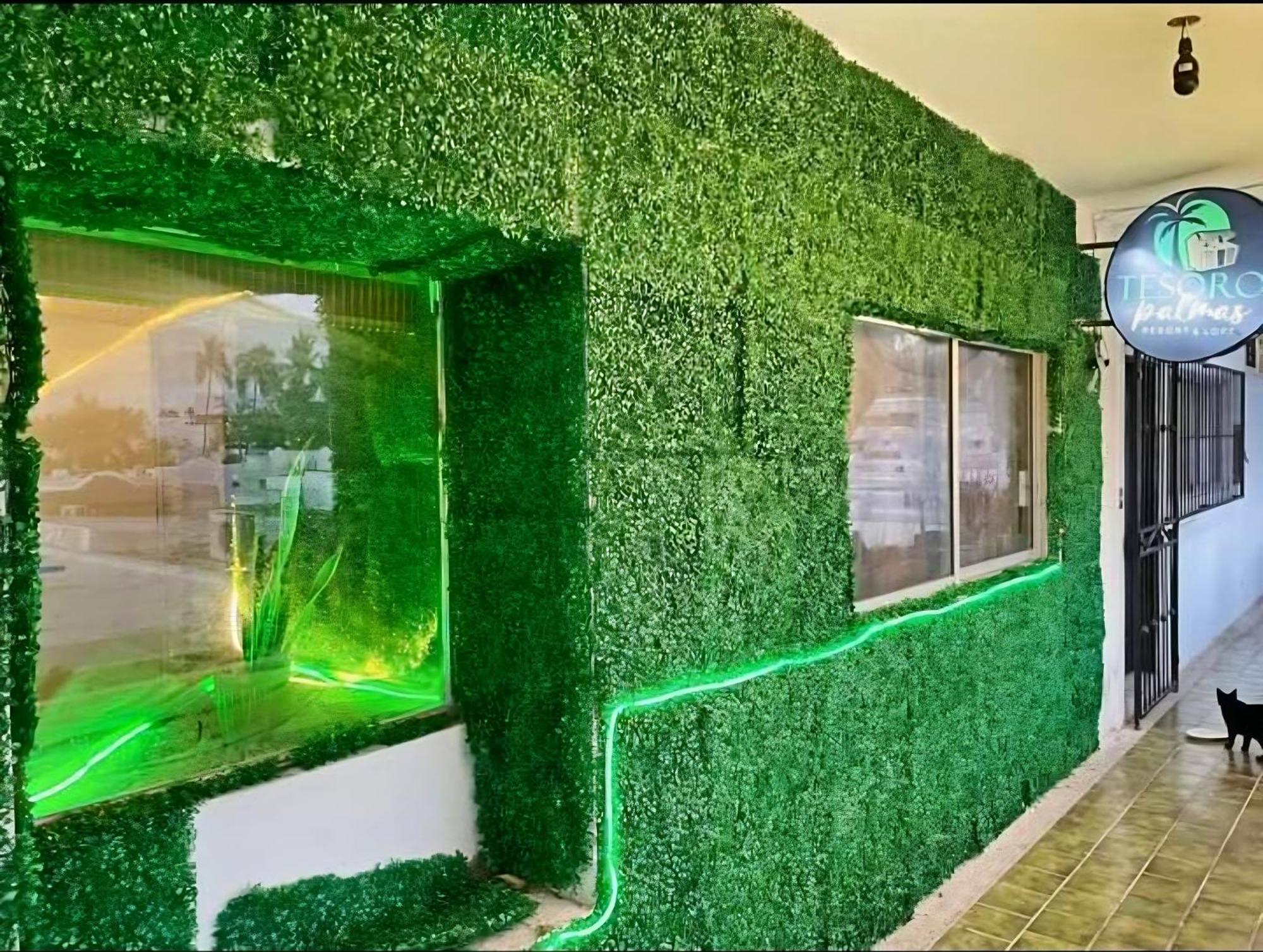 Tesoro Palmas Hostel Mazatlan