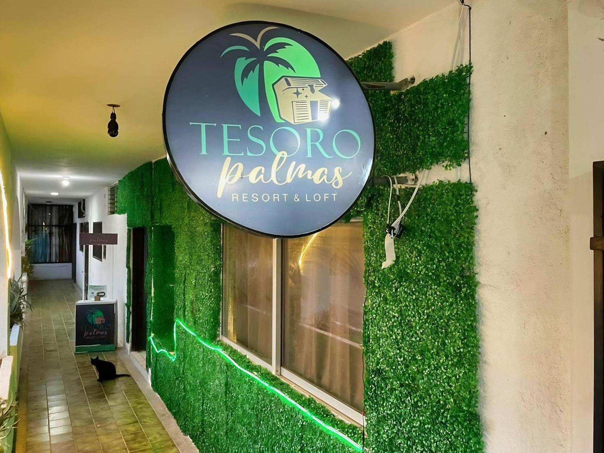 Tesoro Palmas Hostel Mazatlan