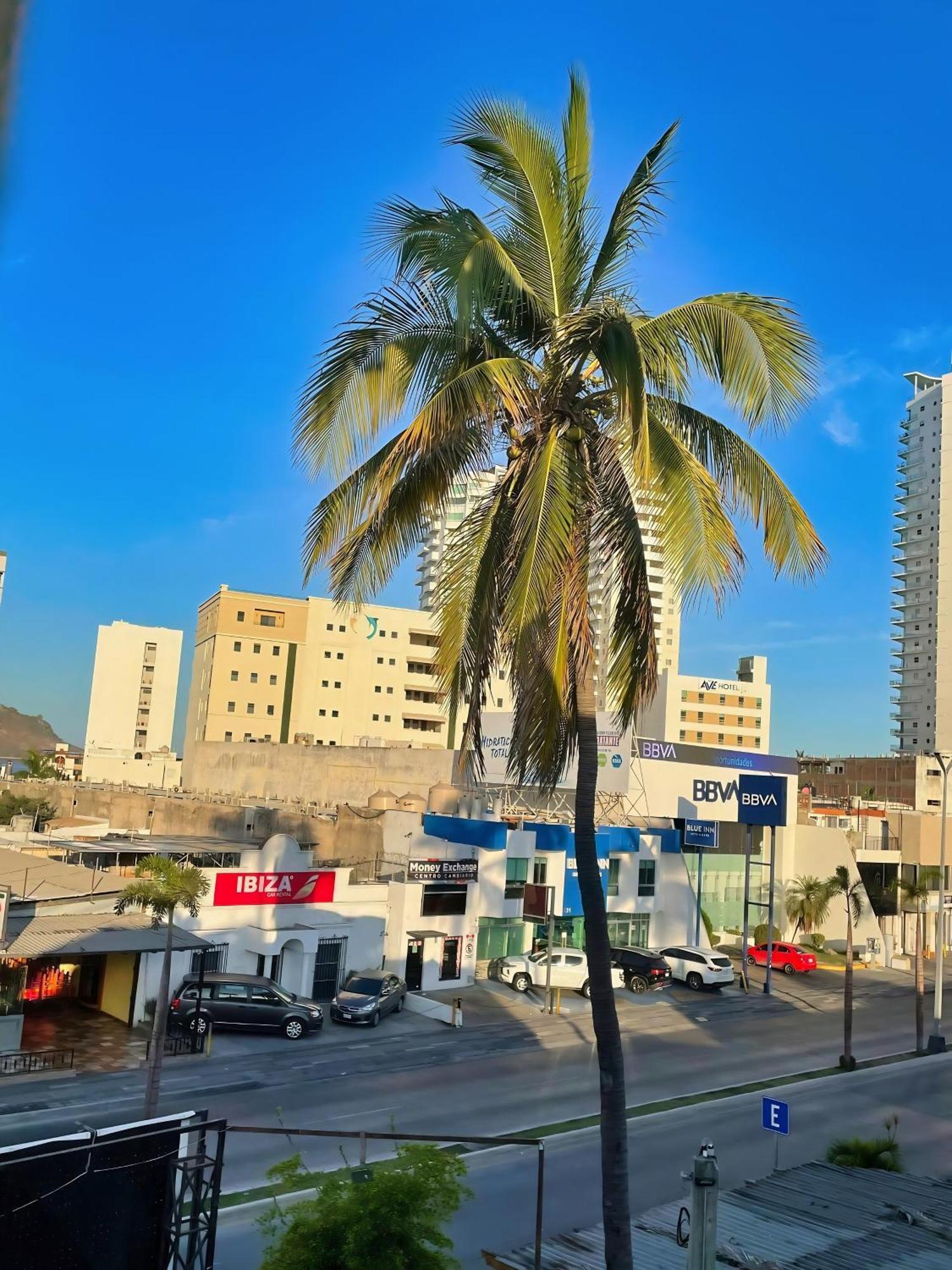 Hostel Tesoro Palmas Mazatlan