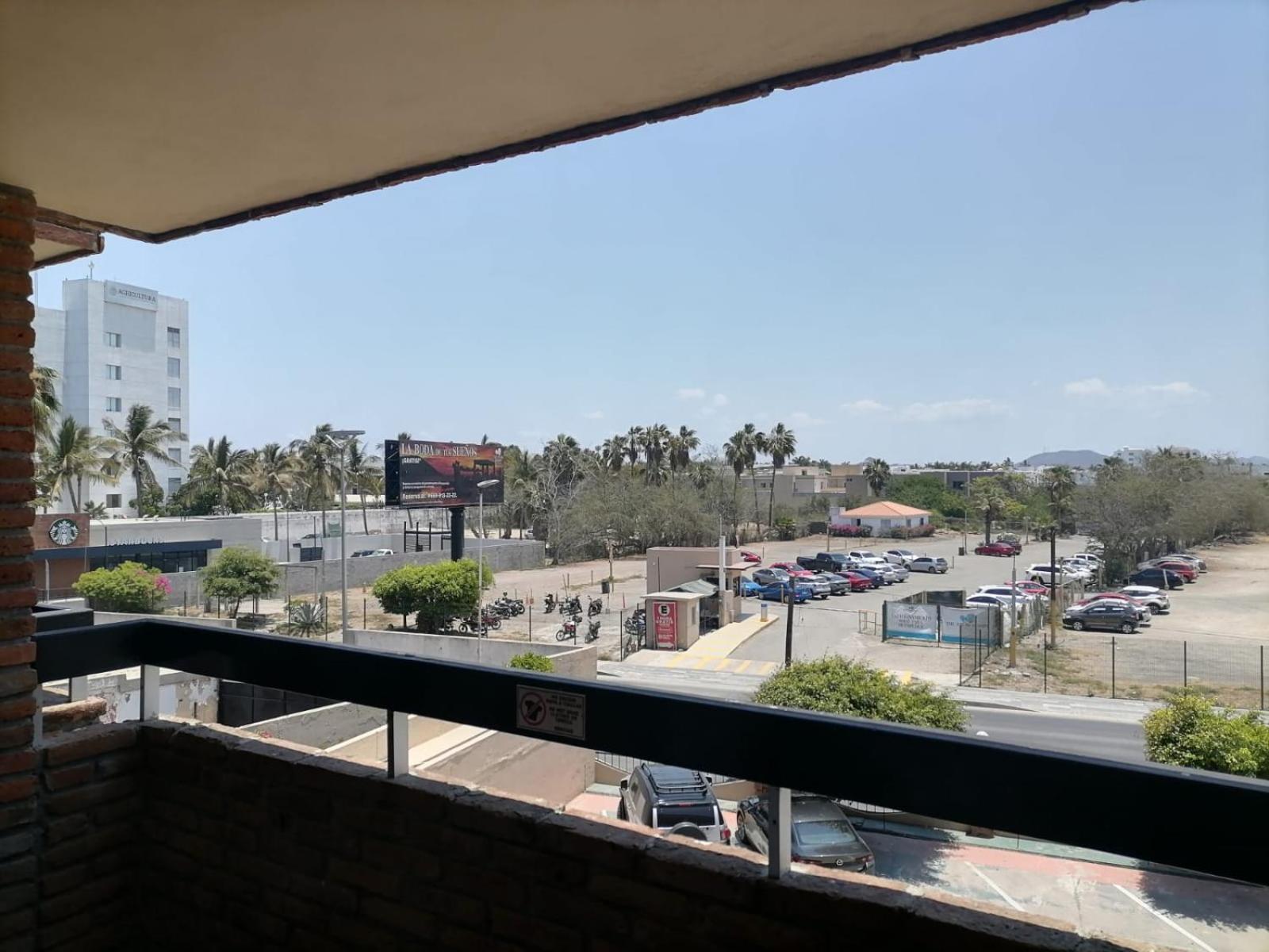 The Palms Of