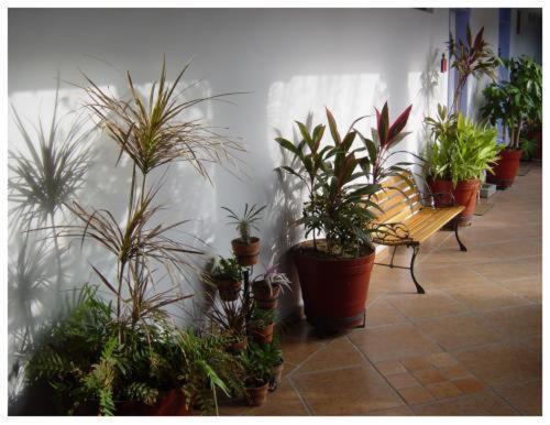 Aparthotel Suitel 522 Eco 2*