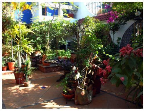 Suitel 522 Eco Aparthotel Mazatlan