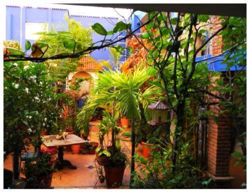 Suitel 522 Eco Aparthotel