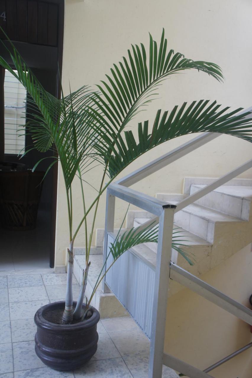 San Luis Aparthotel 3*