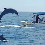 Ocean Front- Marina View- Tiara Sands Resort, Sleeps 4