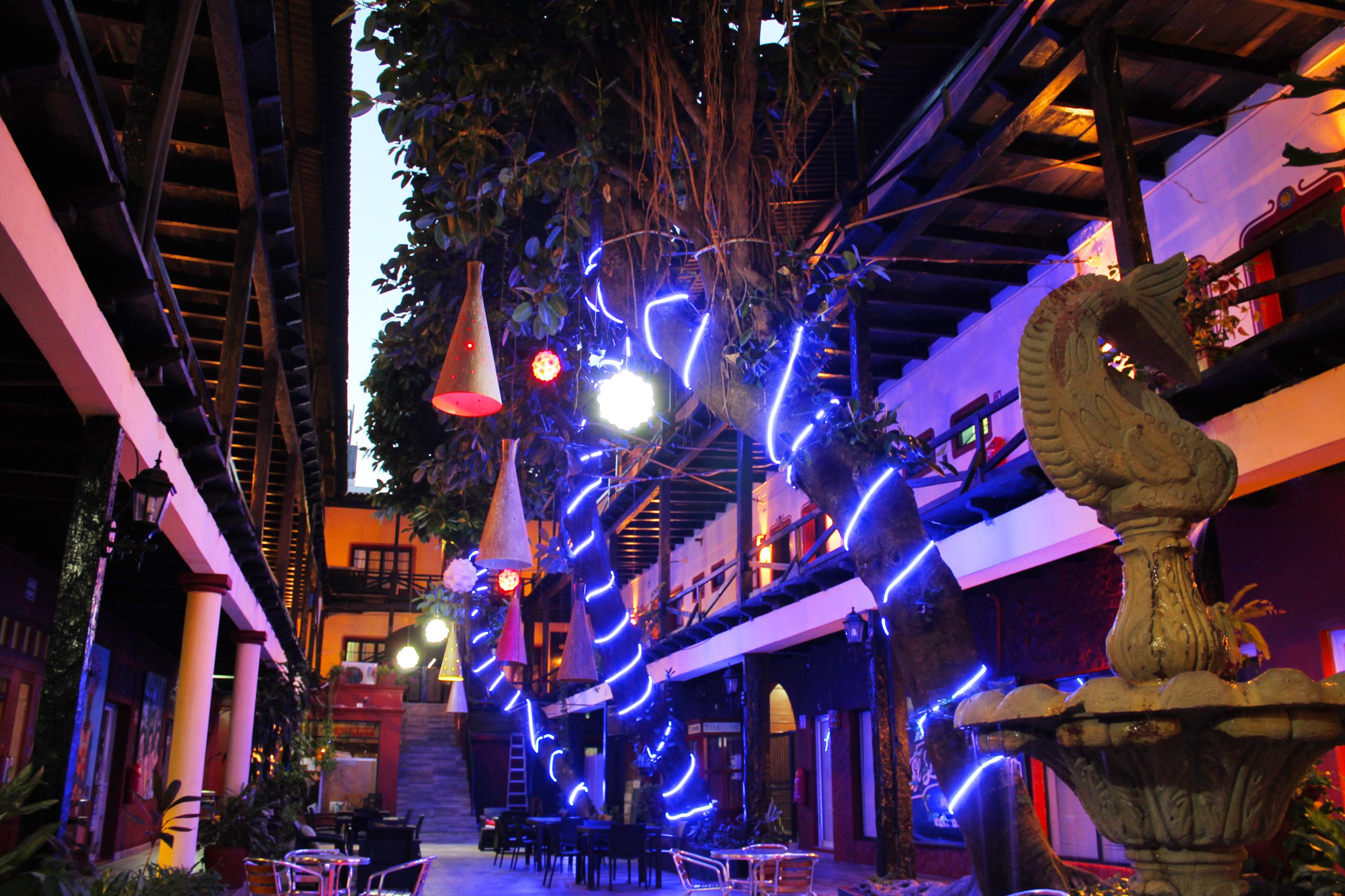 Hotel La Siesta