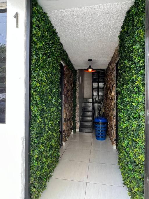 Depa Hermoso A 30 Metros De La Playa Apartment