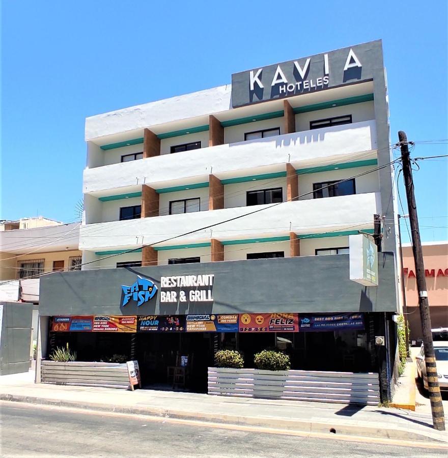 Kavia 2*