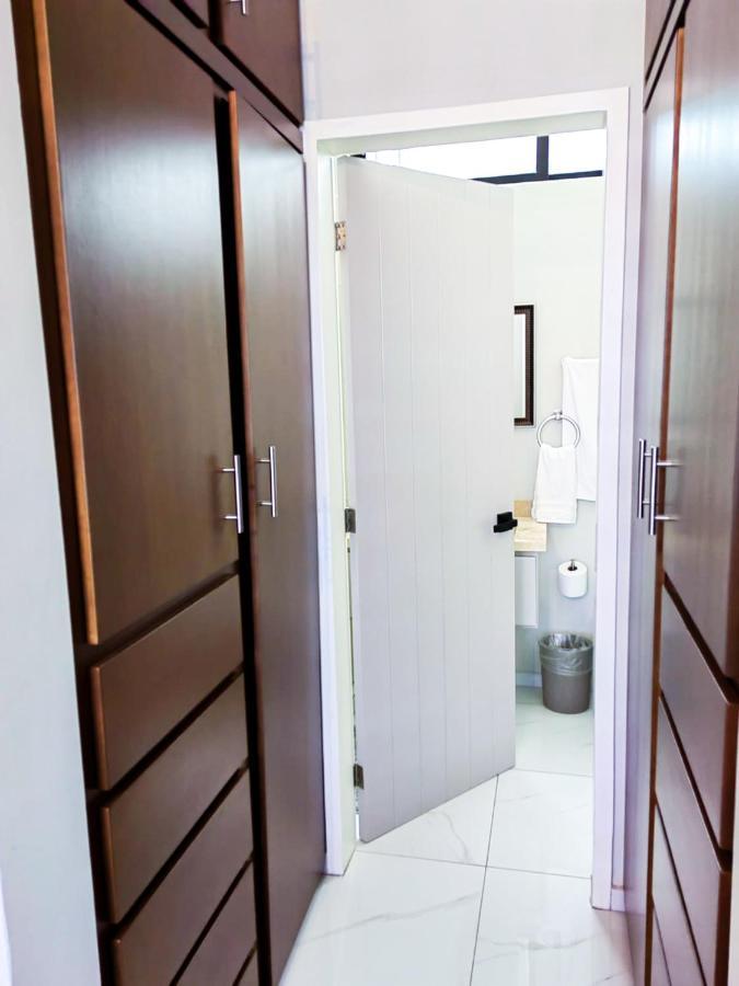 Modern Zona Dorado In Apartment