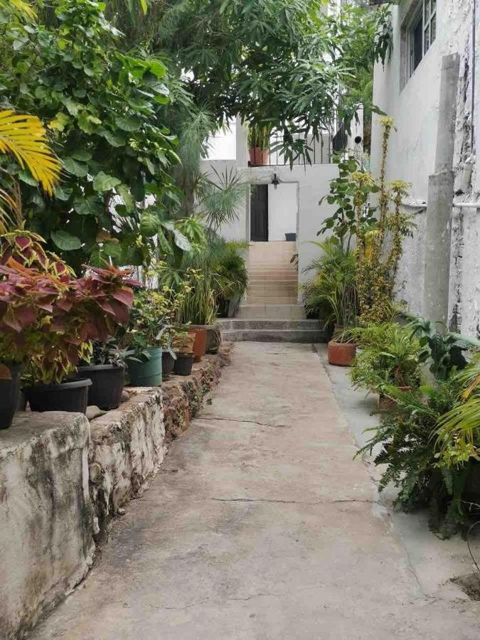 Apartment Depa Cerro Del Vigia#playa Olas Altas Caminando *