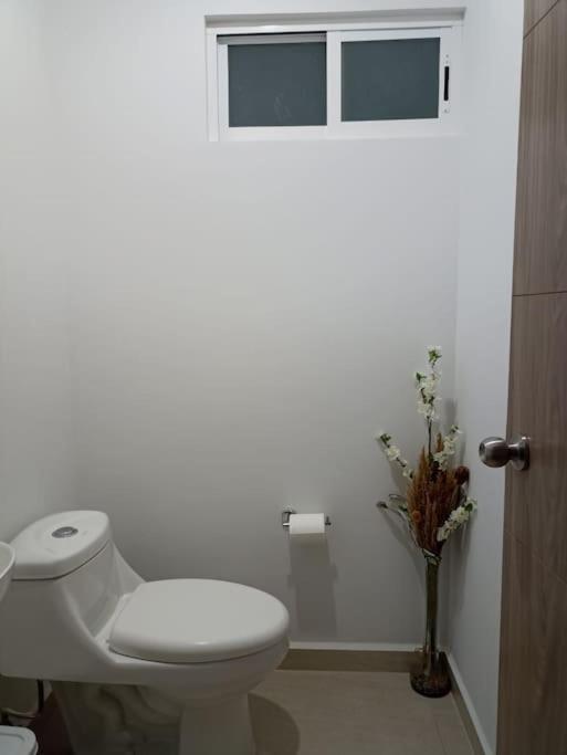 Apartamento Departamento Planta Baja, A 1 Minuto De La Playa. *