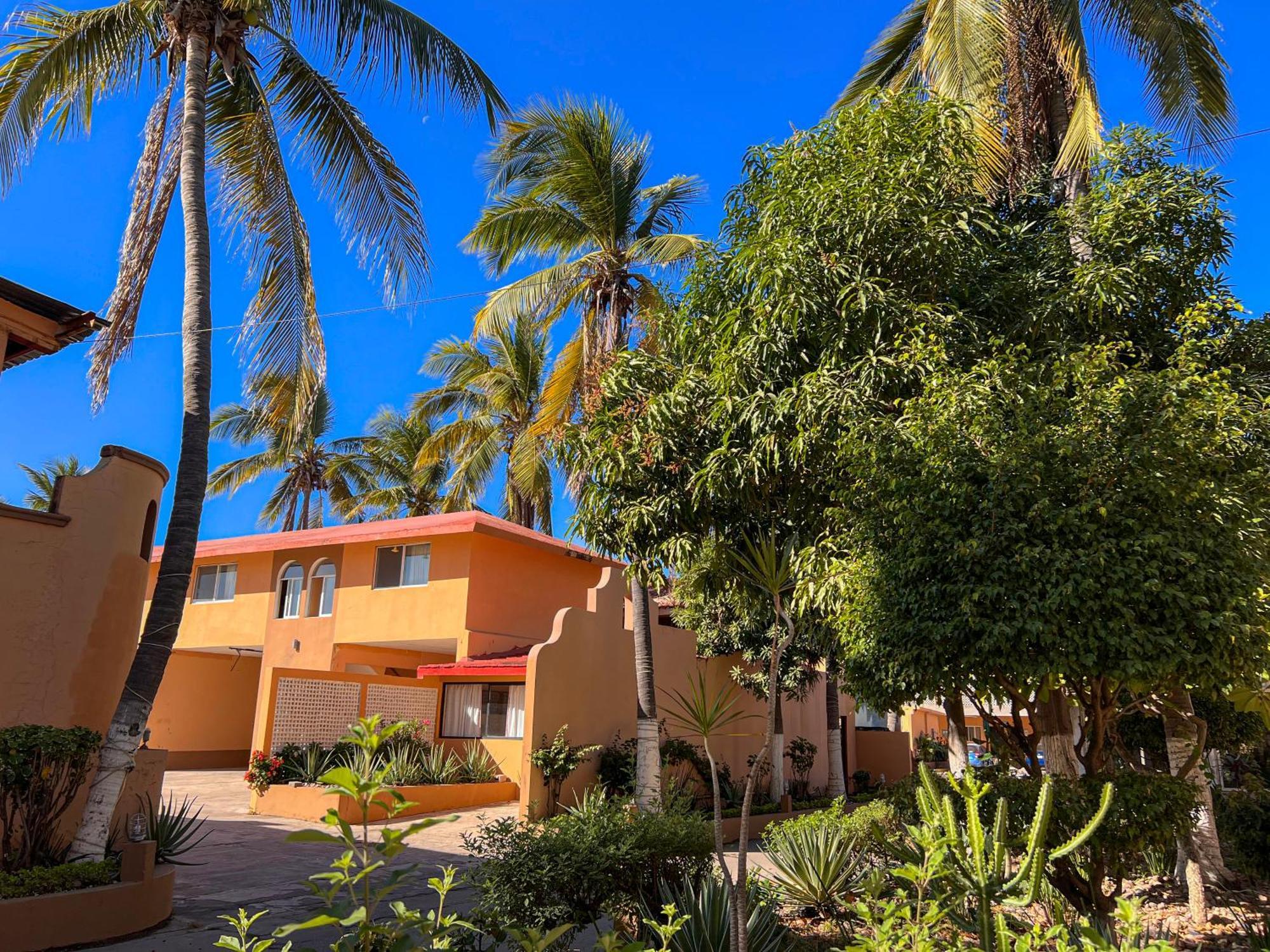 Oasis 3*