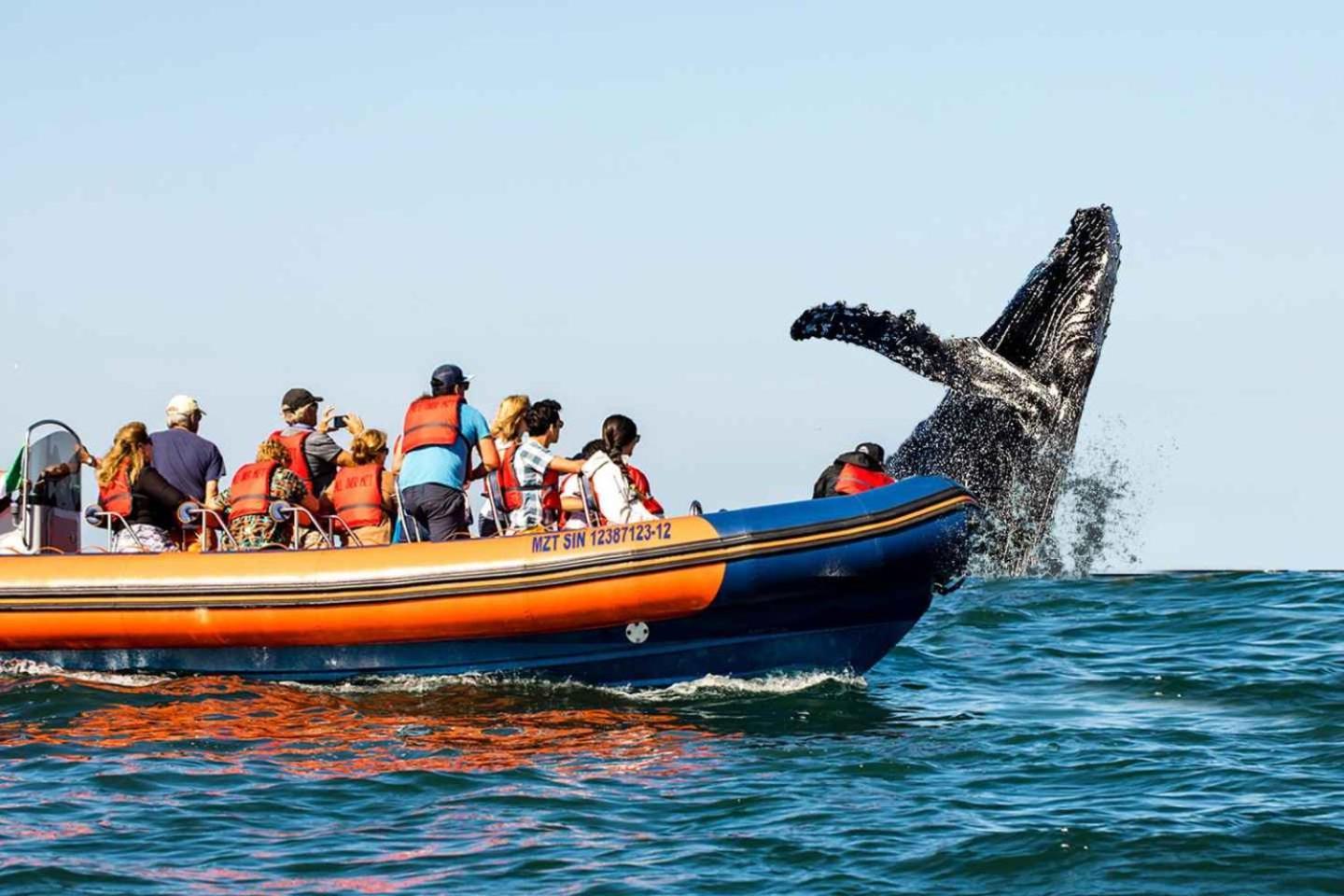Ocean Front- Marina View- Tiara Sands Resort, Sleeps 4 Mazatlán