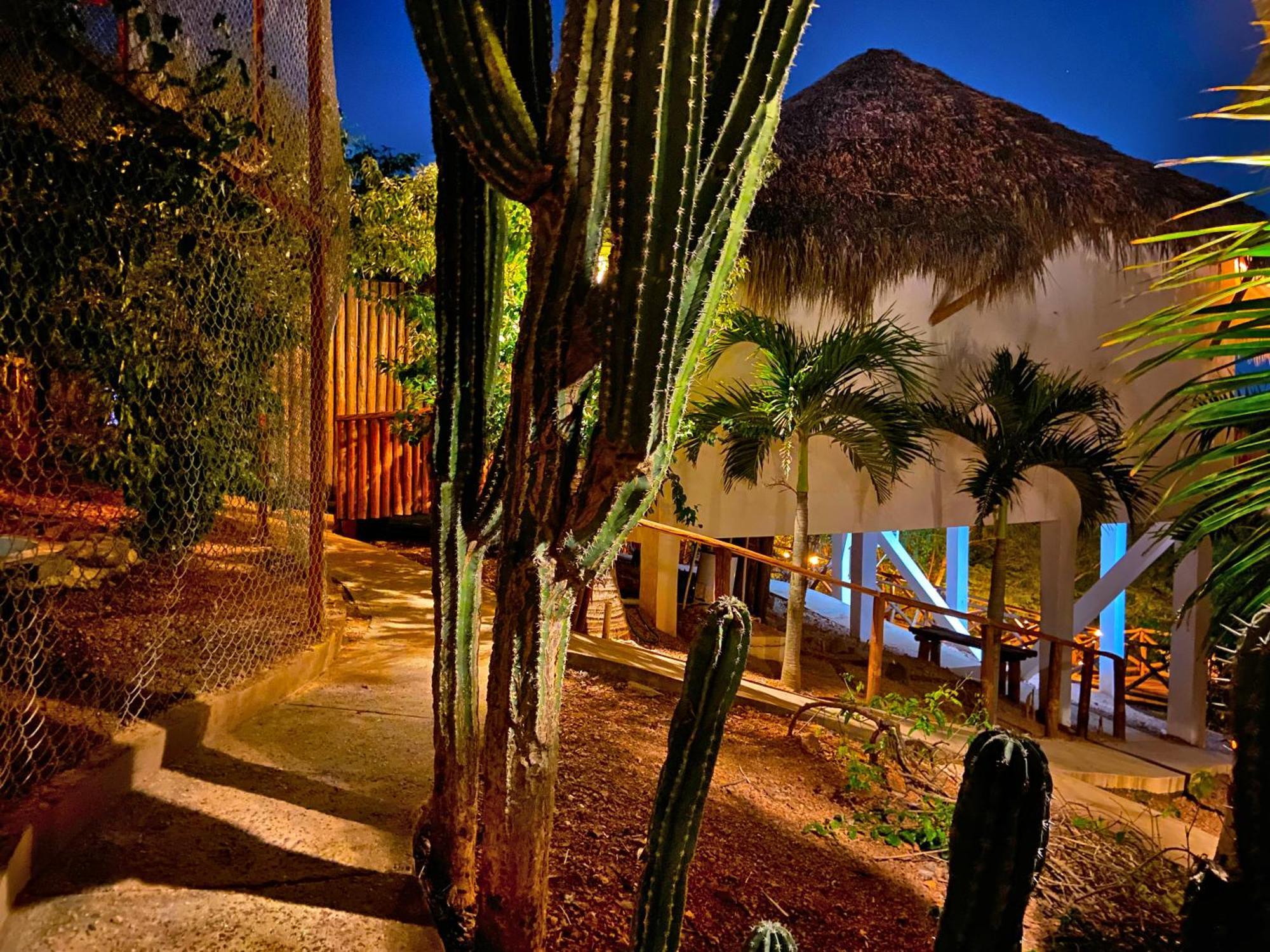 Camping Palm Valley