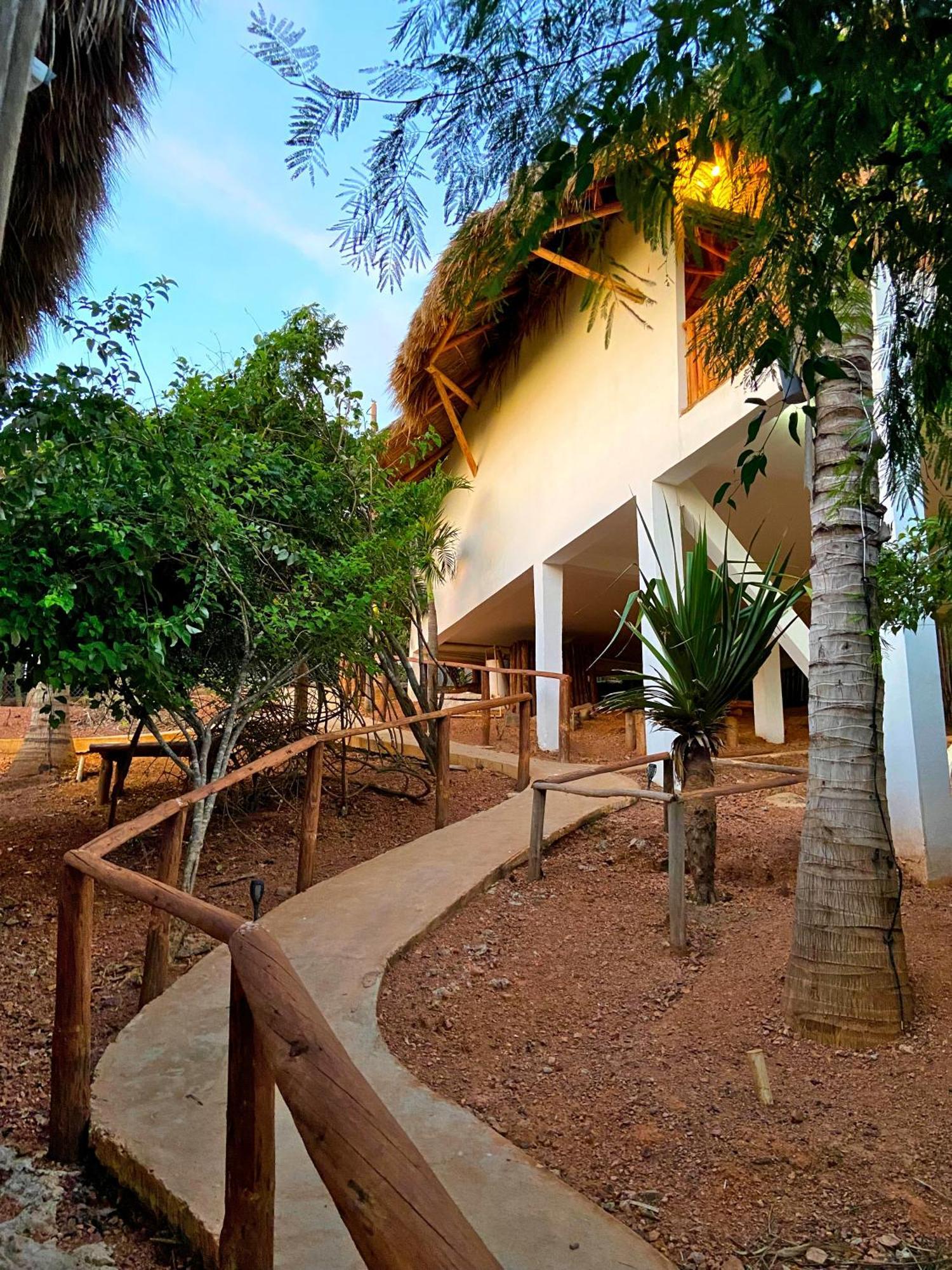Palm Valley Camping