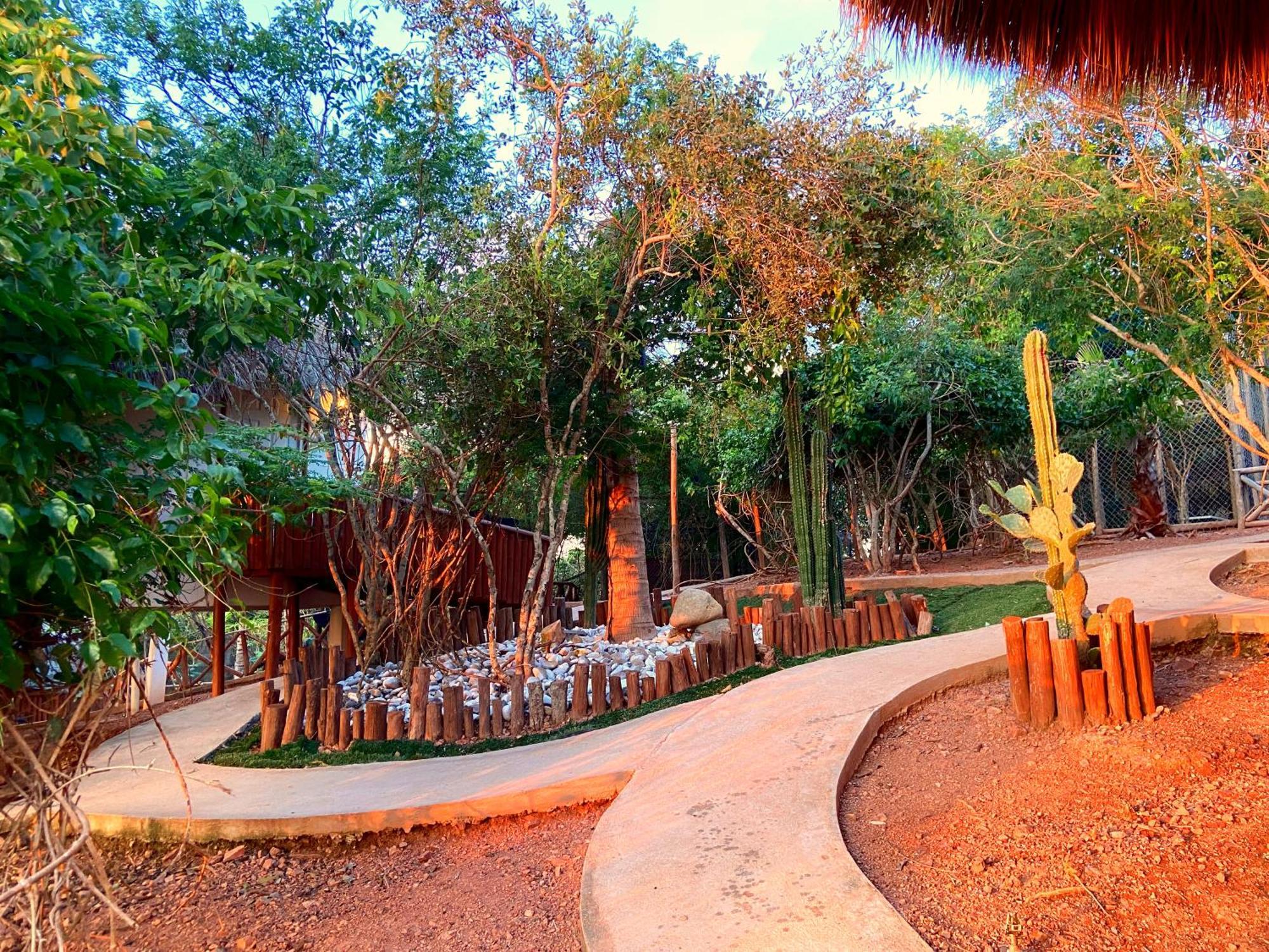 Camping Palm Valley *