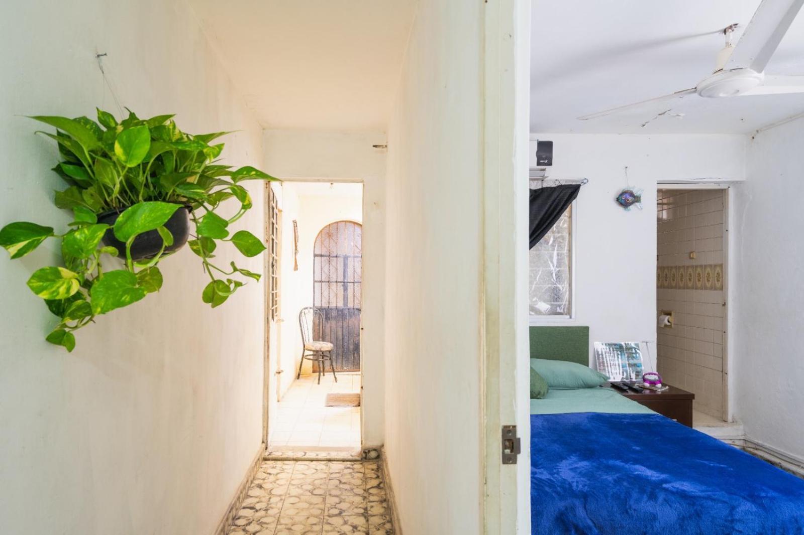 Holiday home Bienestar Neotropical Mazatlan