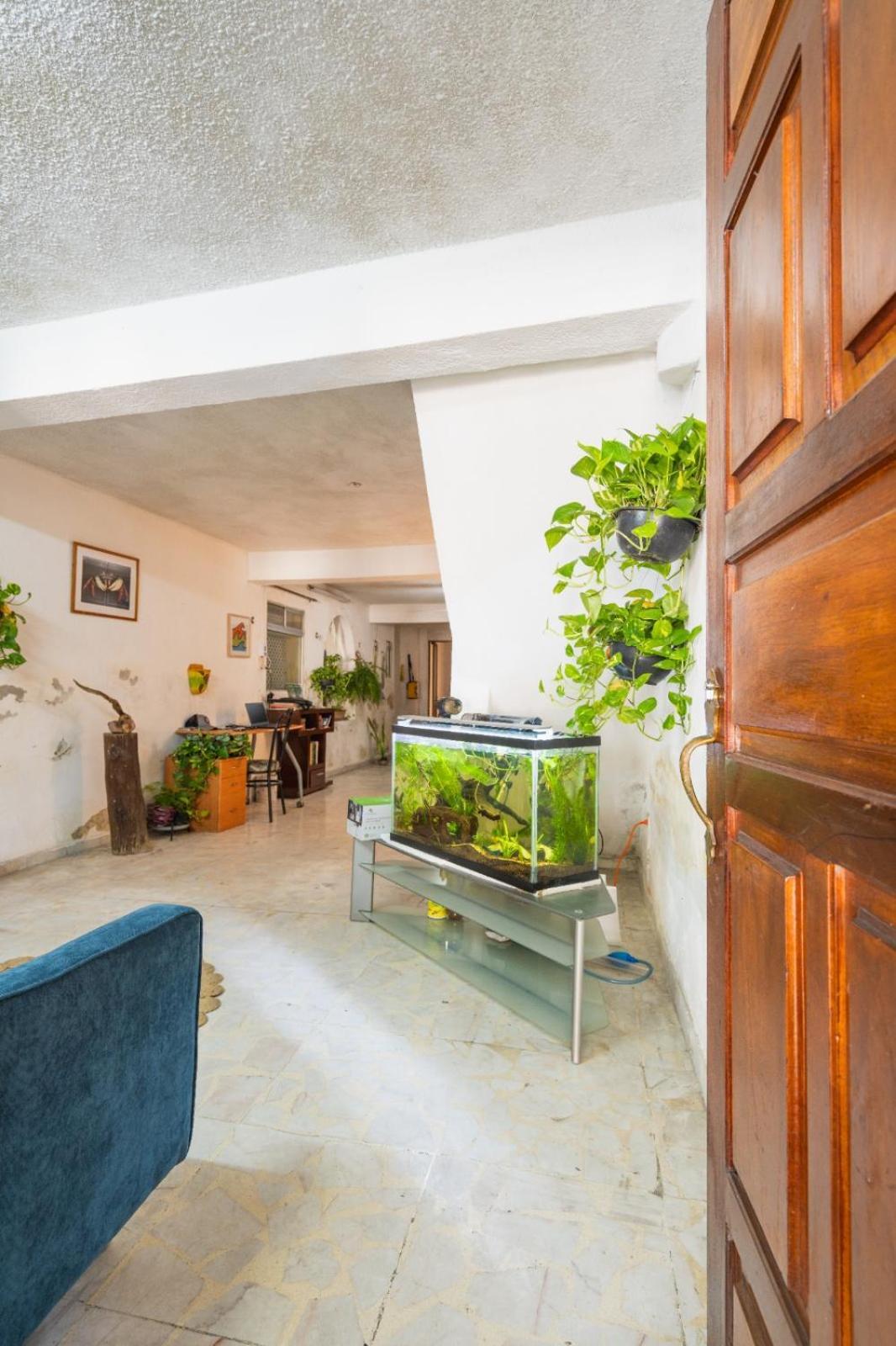 Holiday home Bienestar Neotropical