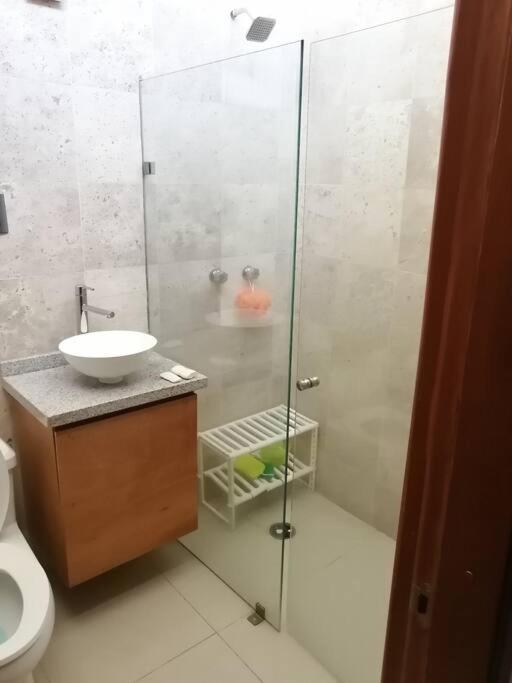 Casa Cedros Holiday home