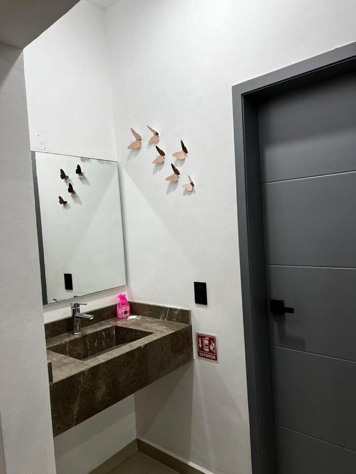 Dpto De 2 Recamaras Con Alberca Apartment