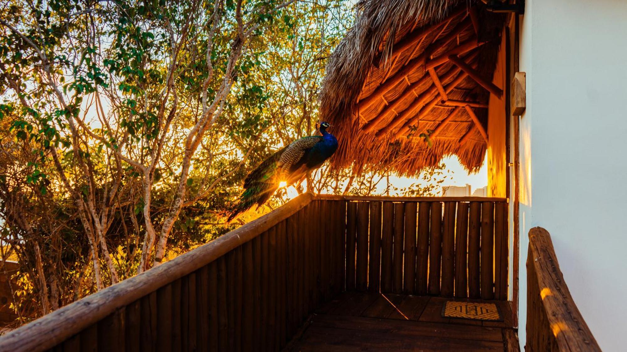 Camping Palm Valley Mazatlán