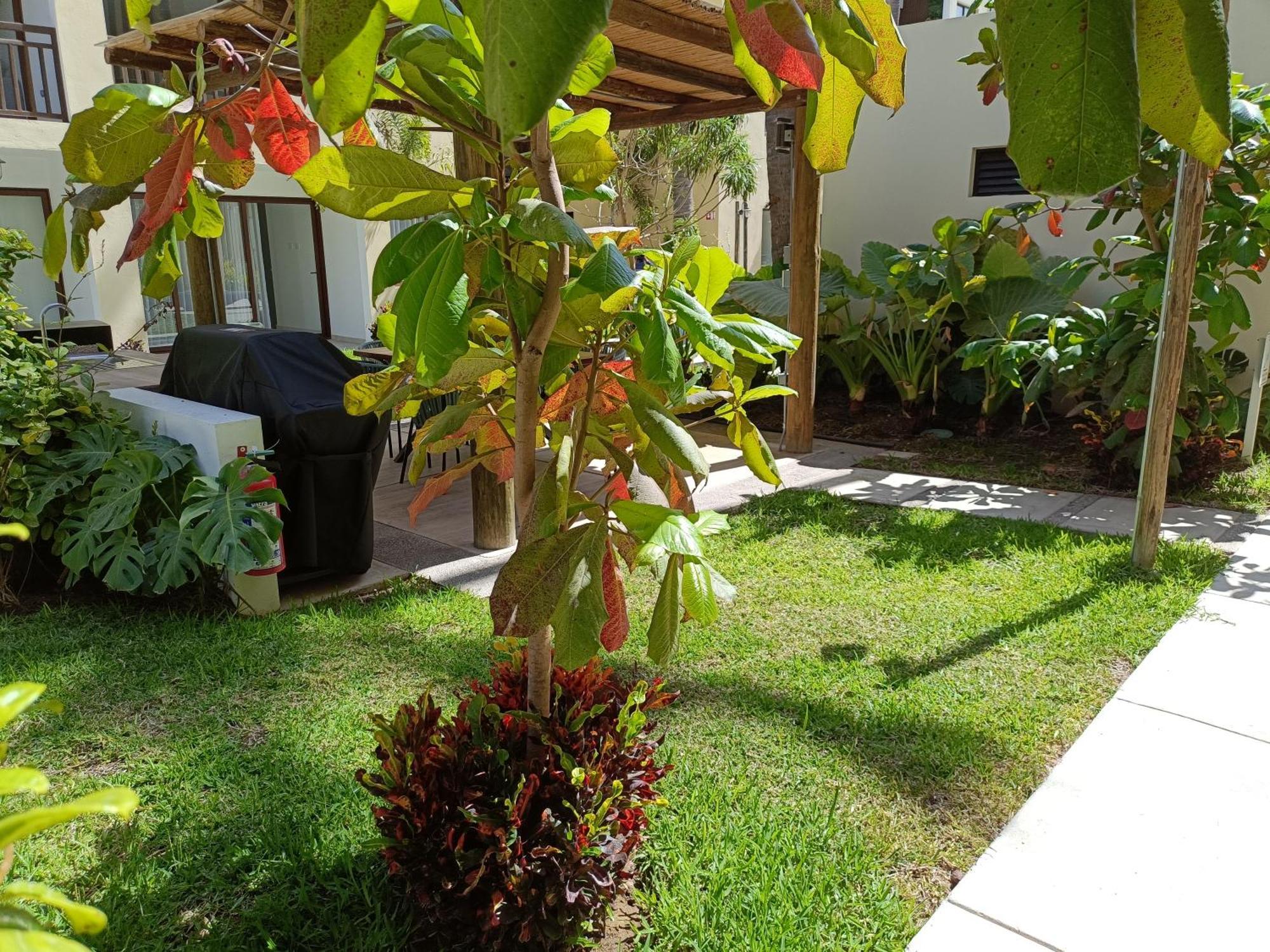 Enamorate Apartment *