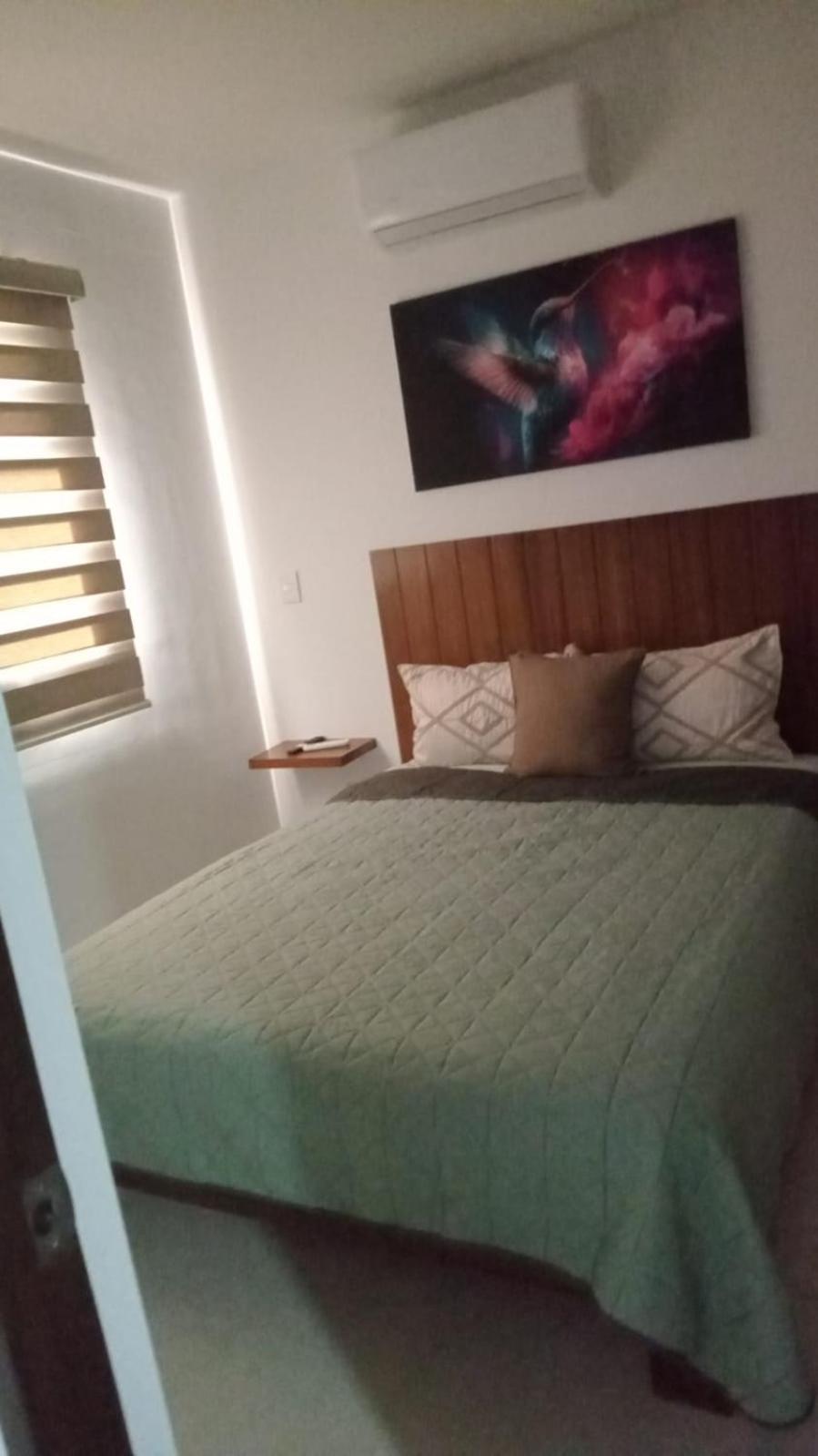 Apartment New Oceanfront *