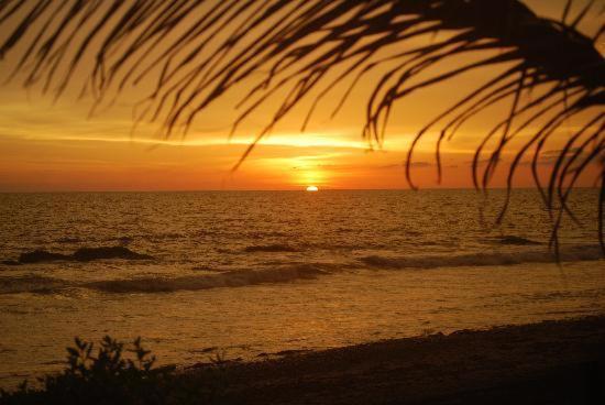 Cardon Adventure Mazatlan