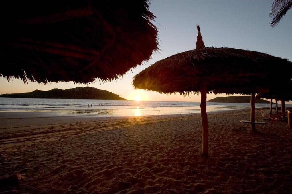 Flores Mazatlan