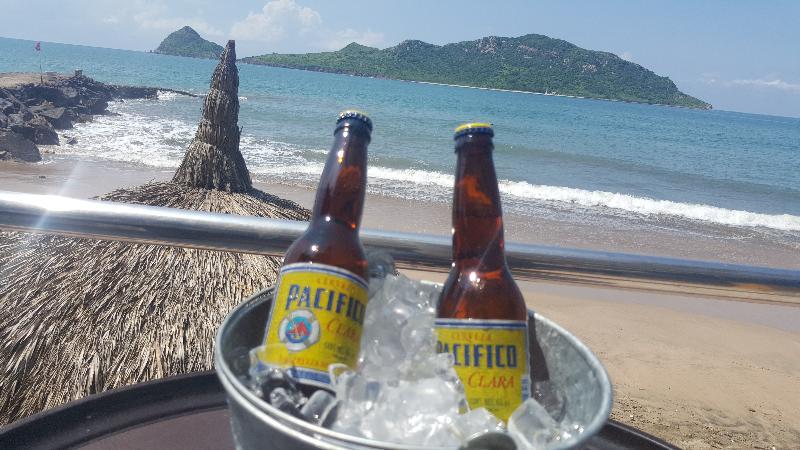 Flores Mazatlan