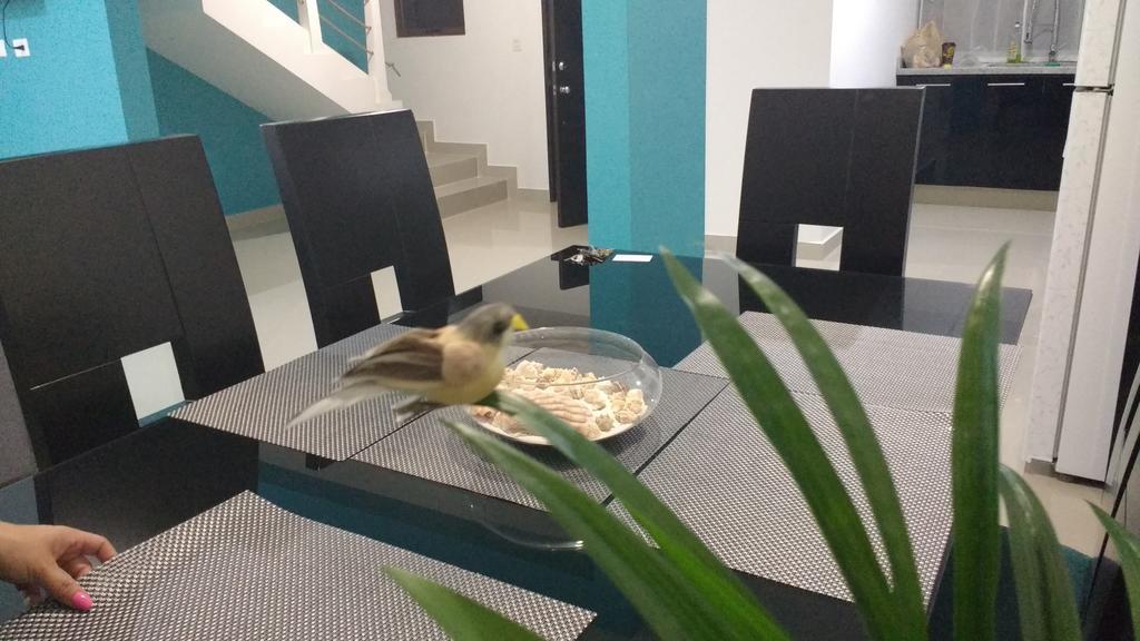 Hogar Pacifico * Mazatlán