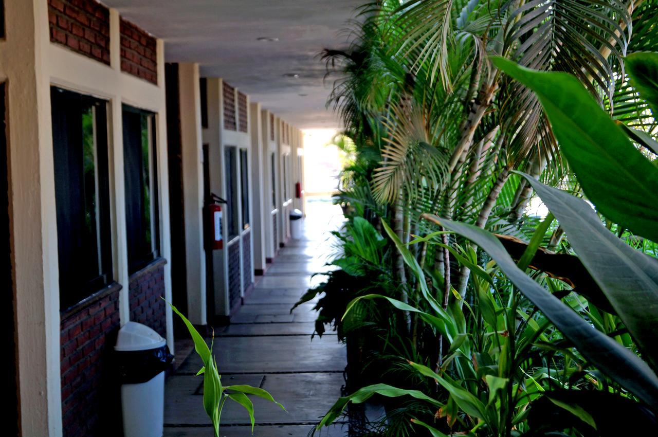 La Palapa