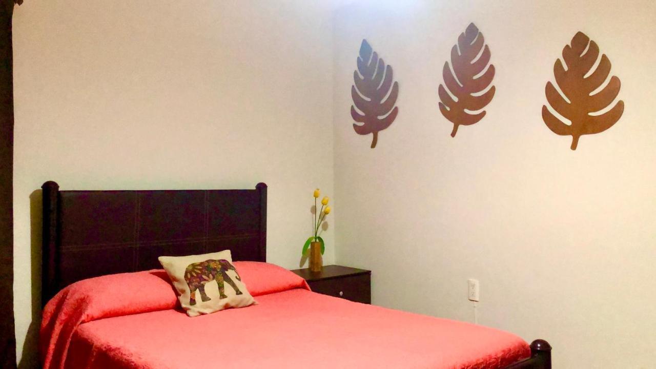 Apartamento Departamento Zona Dorada *